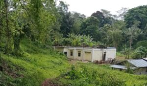 Kondisi Bangunan Asrama Mahasiswa Sangihe di Tondano yang berlokasi di Kelurahan Tonsaru, Minahasa, terbengkalai dan dipenuhi Rerumputan.(foto:ist)