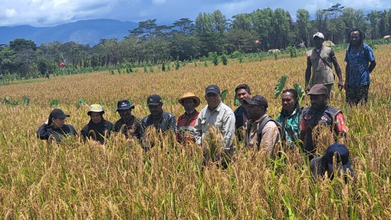 Kelompok Tani Kosiyhilapok Keluhkan Akses Jalan ke Sawah Mereka dan Alat Pertanian