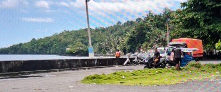 Bisnis Rokok Ci Una Harus di Audit, Dugaan Lolos Karena Back Up Aparat? Begini Modus Operandinya