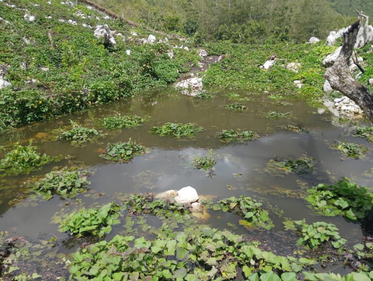 Giliran Lahan Perkebunan Petani Distrik Bugi Terkena Bencana Banjir