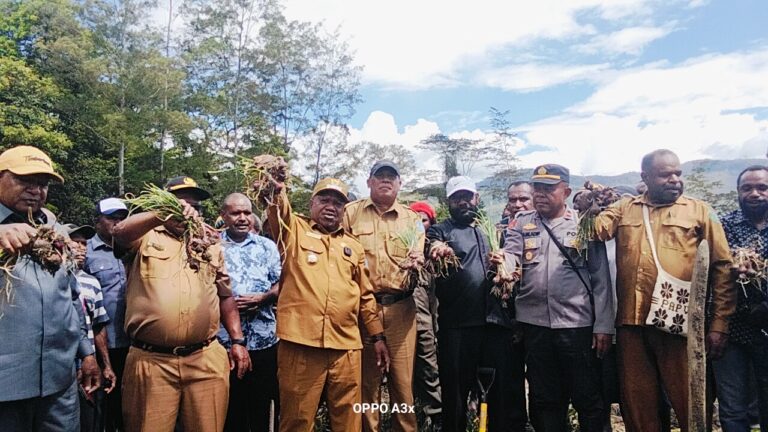Panen Bawang Merah di Kampung Alogonik, Wabup Jayawijaya Janji Cari Pemasaran Hasil Bumi Warga