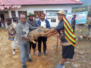 Bantuan-10-Ekor-Babi