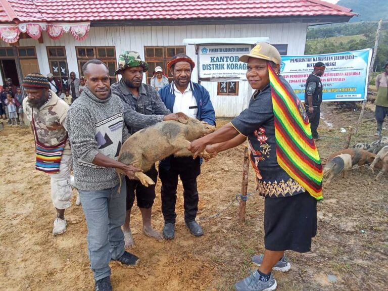 Bantuan-10-Ekor-Babi