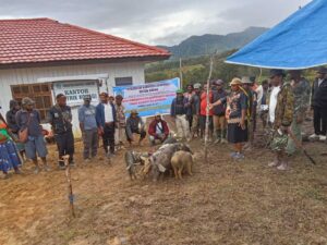 Bantuan-10-Ekor-Babi