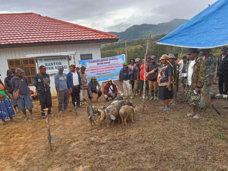 Bantuan-10-Ekor-Babi