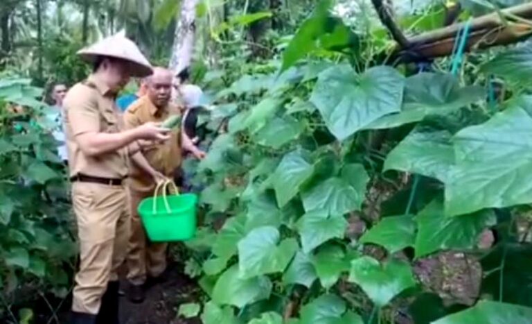 Bupati Michael Thungari Tinjau Lahan Pertanian di Angges, Dorong Kemandirian Pangan dan Inovasi Petani Muda