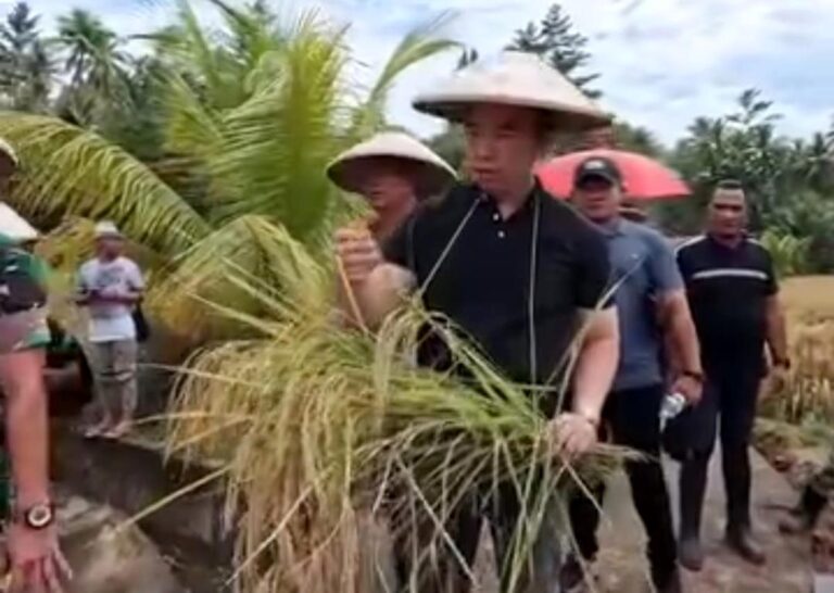 Bupati Michael Thungari Tinjau Langsung Program P2B dan Ketahanan Pangan di Manganitu Selatan dan Tamako