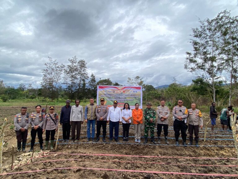 Polres Jayawijaya Tanam Jagung, Dukung Swasembada Pangan Nasional 2025