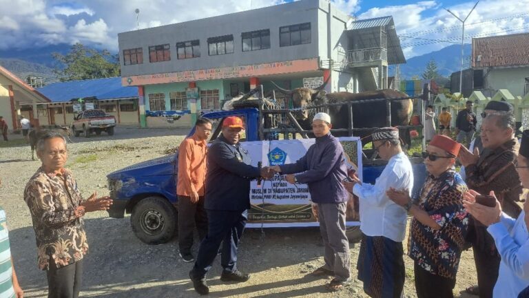 Pemkab Jayawijaya Serahkan Sapi Kurban untuk Umat Muslim Jelang Idul Adha 1447 H